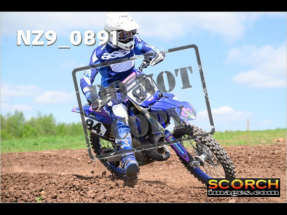 Experts-267