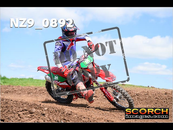 Experts-268