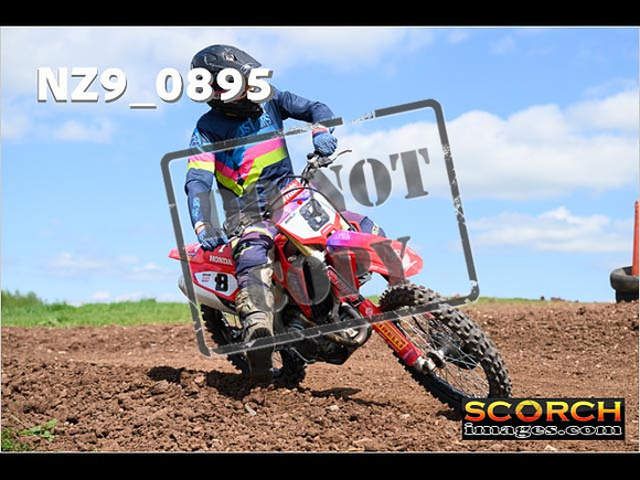 Experts-271