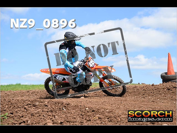 Experts-272