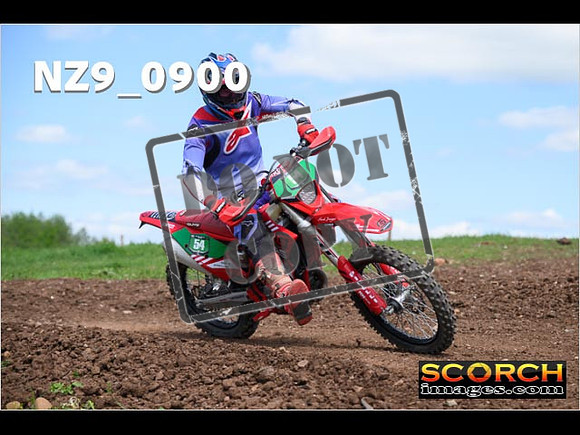 Experts-275