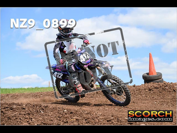 Experts-274