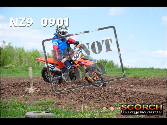 Experts-276