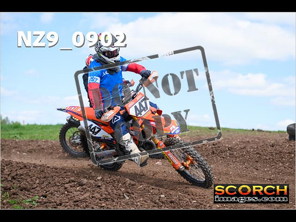 Experts-277