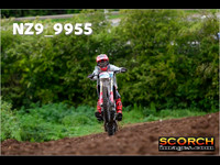 Experts-010