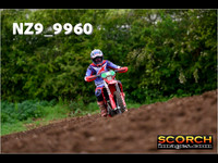 Experts-015
