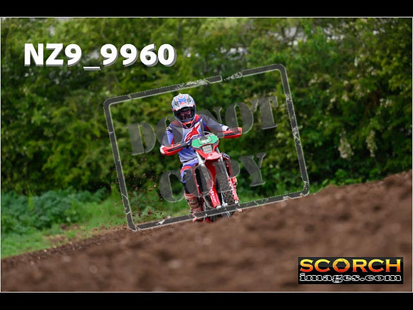 Experts-015