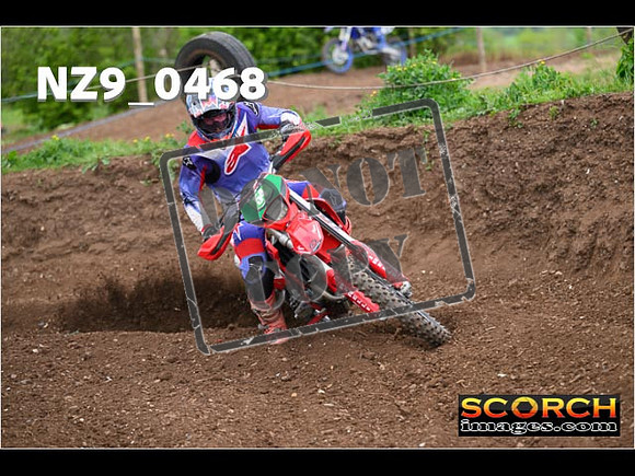Experts-196