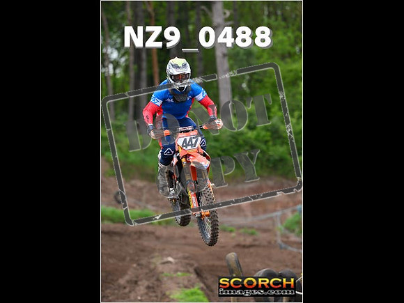 Experts-216