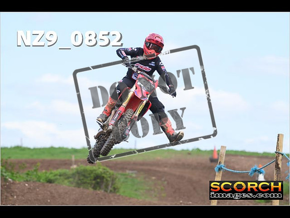 Experts-232