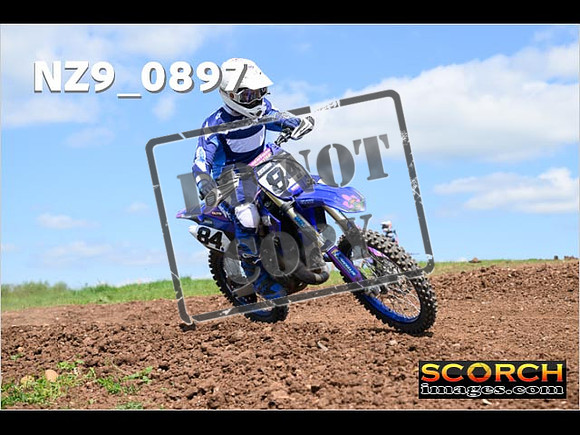 Experts-273