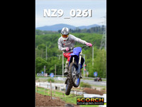 IntersGreen-011