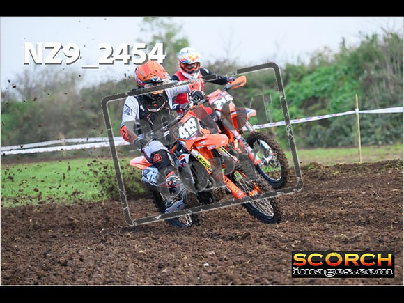 Experts-045