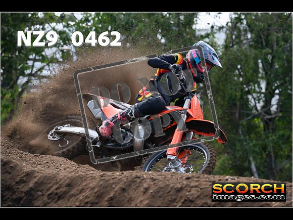 Experts-058
