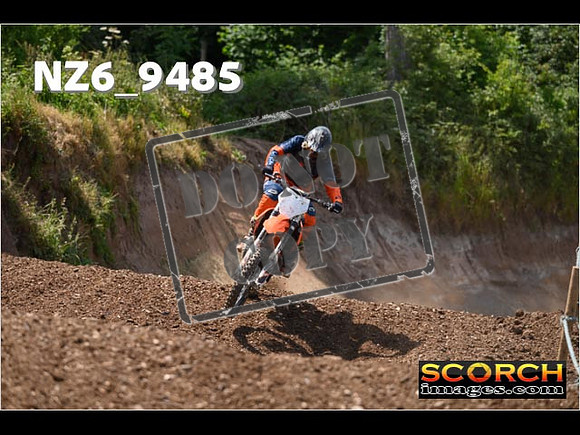 Experts-249