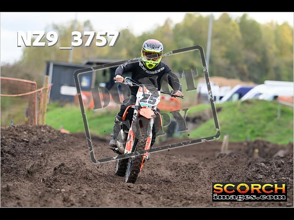 Inters-529