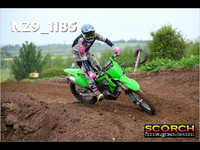 Experts-015