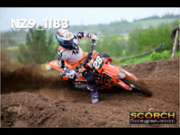 Experts-013