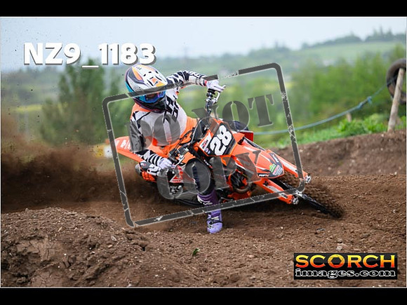 Experts-013