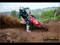 Experts-016