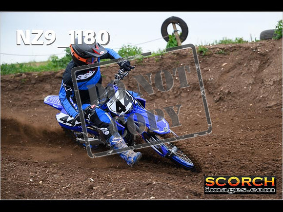 Experts-010