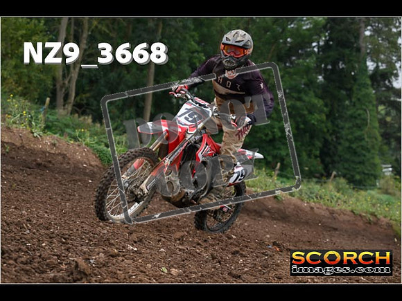 IntersGreenOrange-034