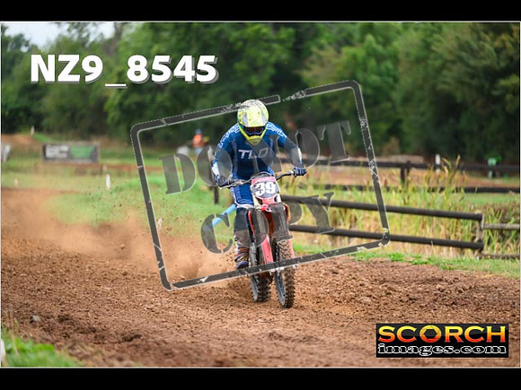 Experts-091