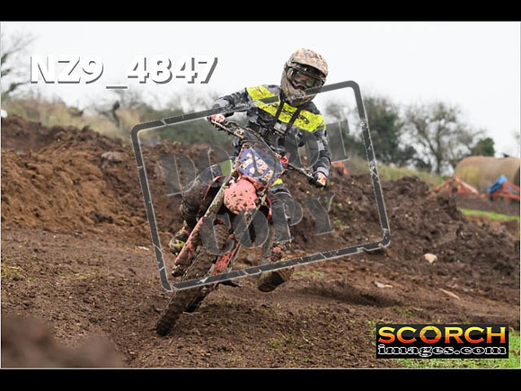 Experts-323