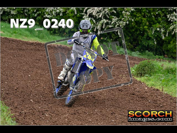 IntersGreen-190