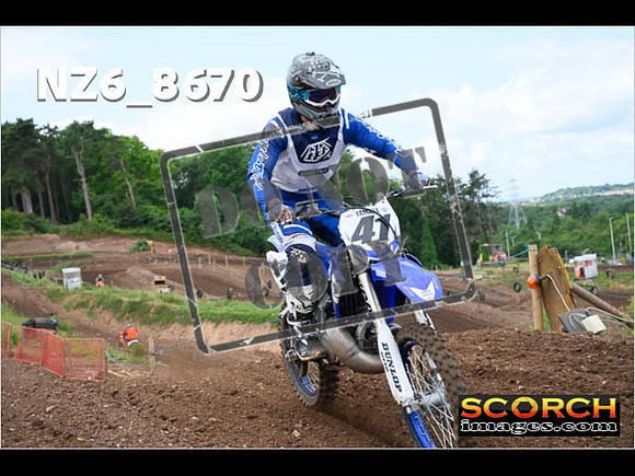 Experts-081