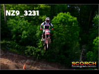 Experts-015