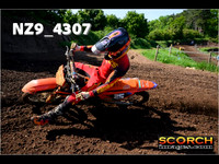 Experts-012