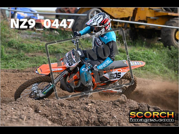 Experts-043