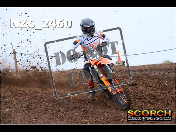 Experts-040