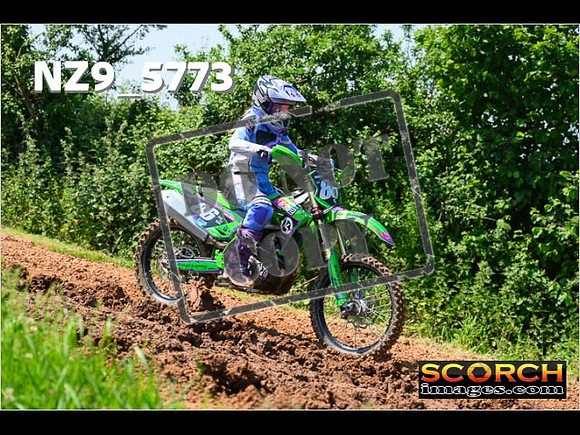Novice-100