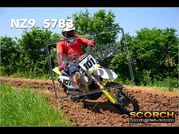 Novice-110