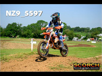 85'S-008