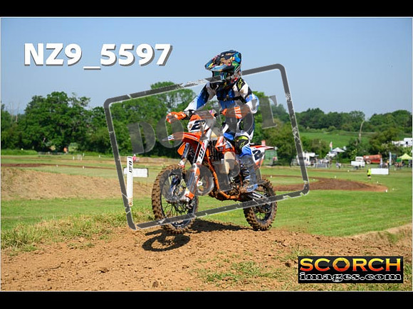 85'S-008