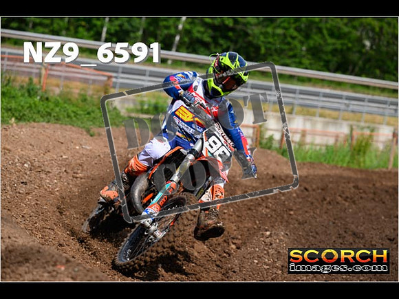 Experts-033