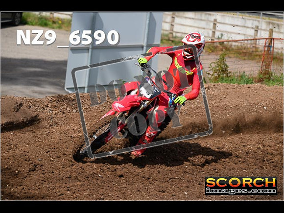 Experts-032