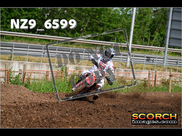 Experts-041