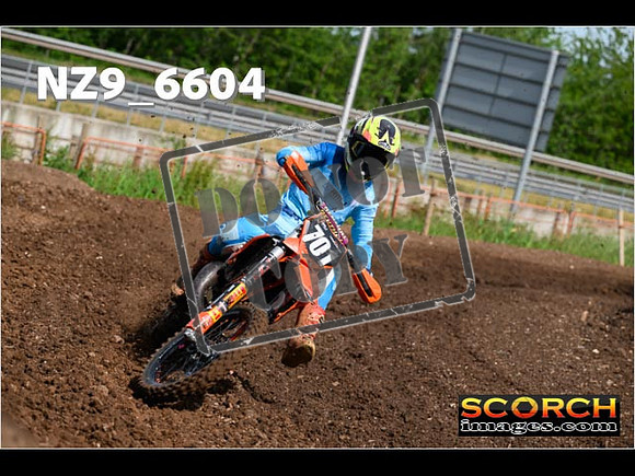 Experts-046