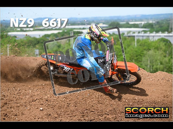 Experts-059