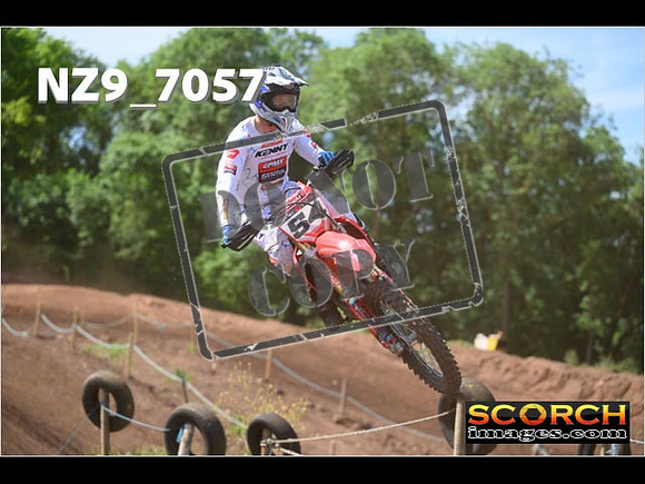 Experts-133