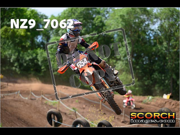 Experts-137