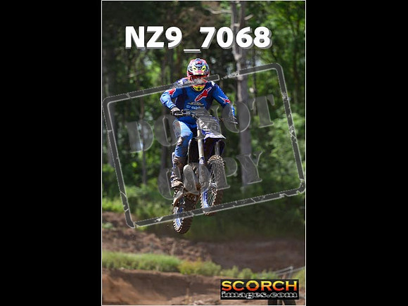 Experts-143