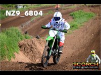 IntersGreen-012