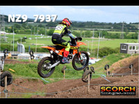 Experts-016