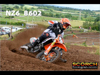 Experts-013