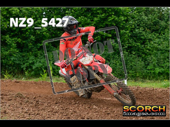 Experts-358